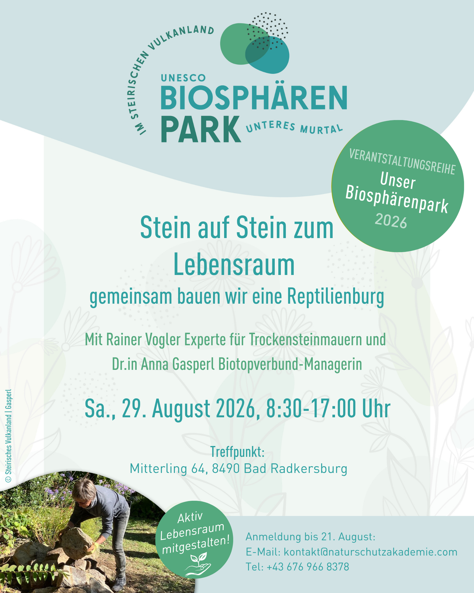 Stein auf Stein zum Lebensraum