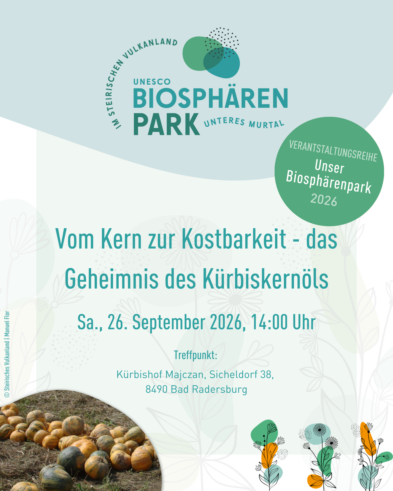 Vom Kern zur Kostbarkeit - das Geheimnis des Kürbiskernöls