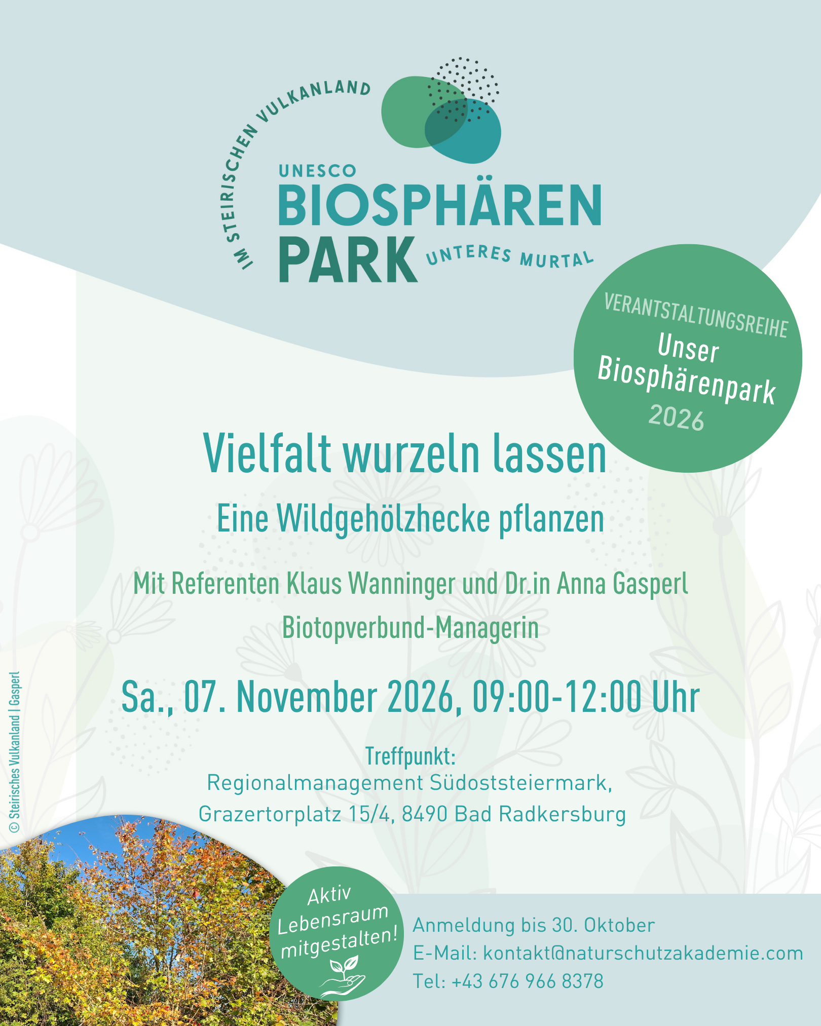 Vielfalt wurzeln lassen - Eine Wildgehölzhecke pflanzen