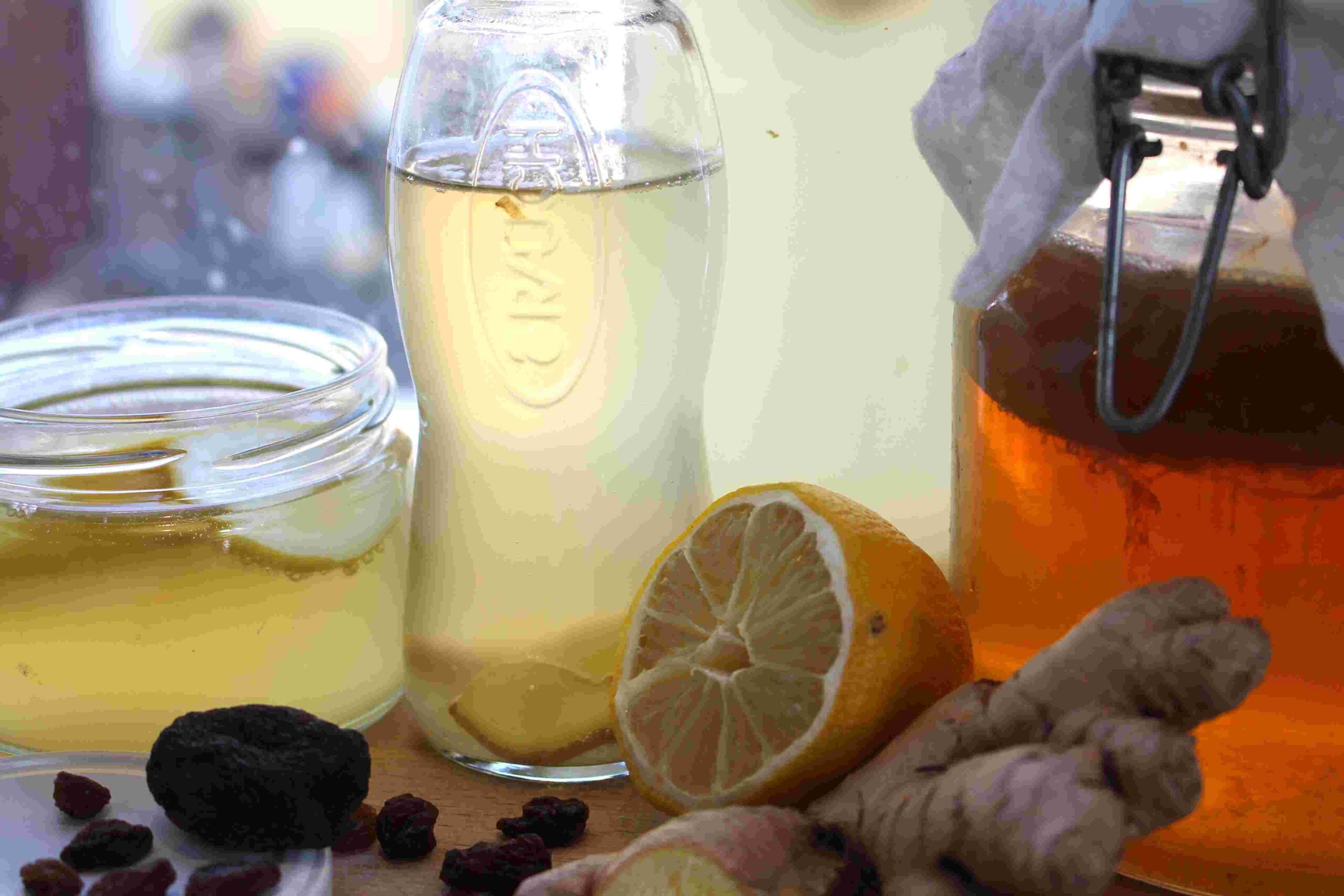 Kefir und Kombucha